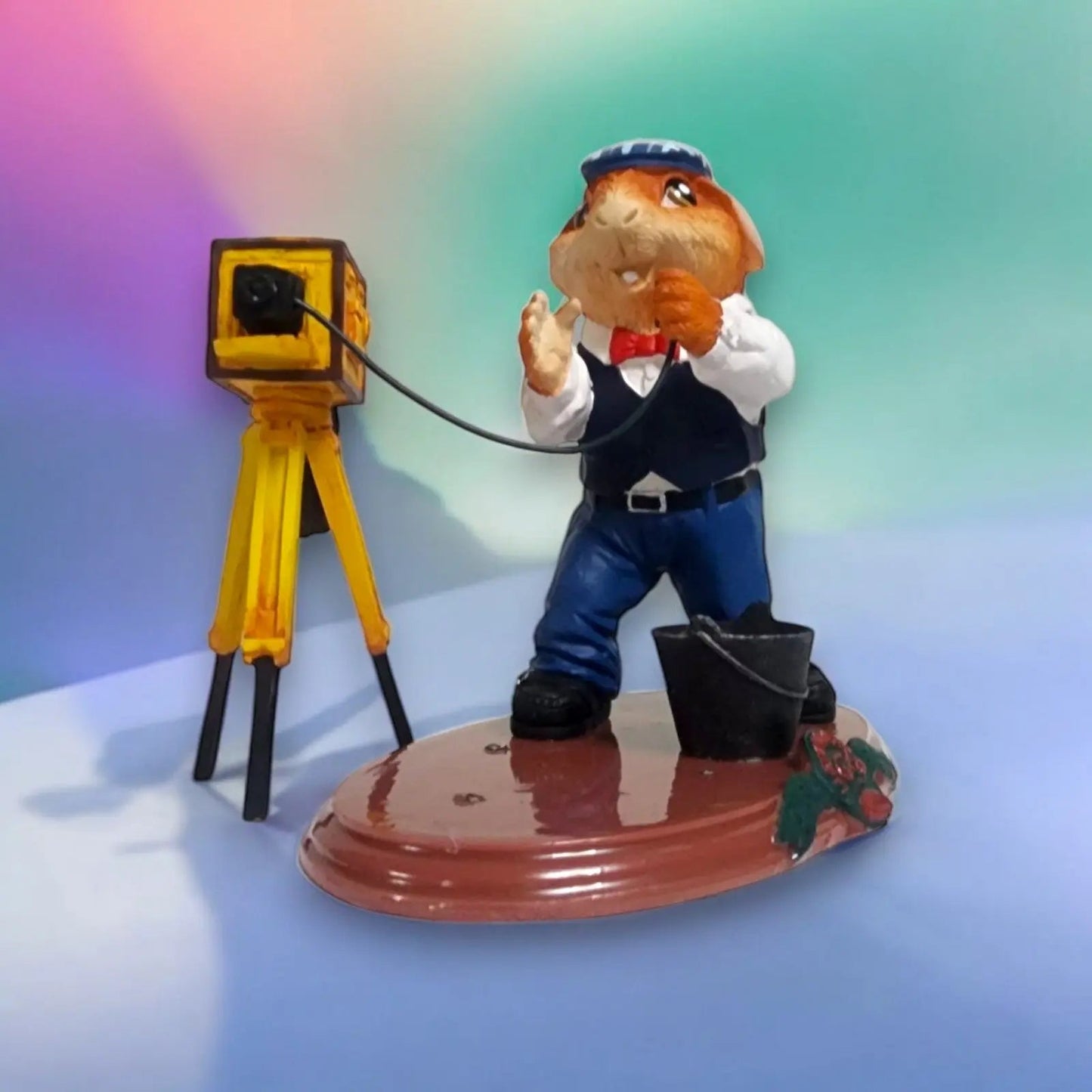 Cuy Fotógrafo yachay